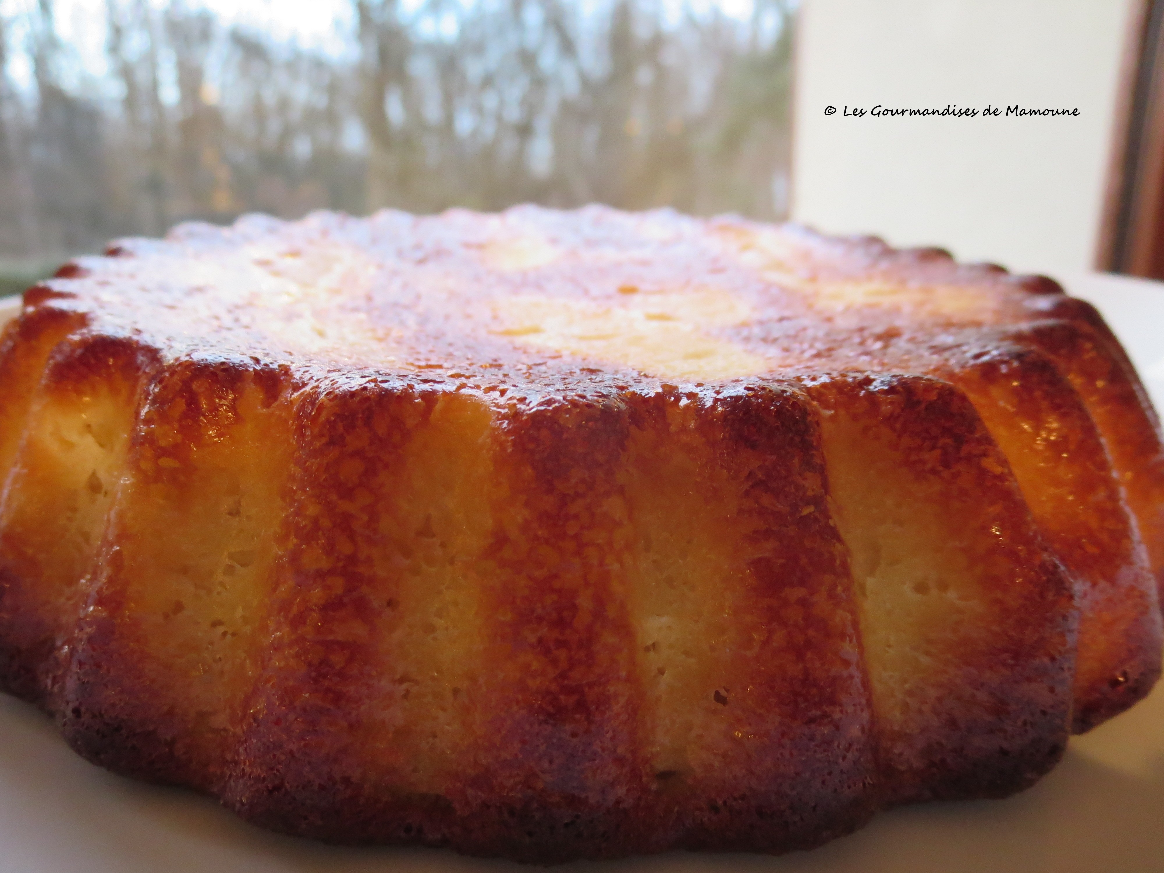 Gâteau Au Yaourt Aux Pommes (IG Bas) | Les Gourmandises De Mamoune